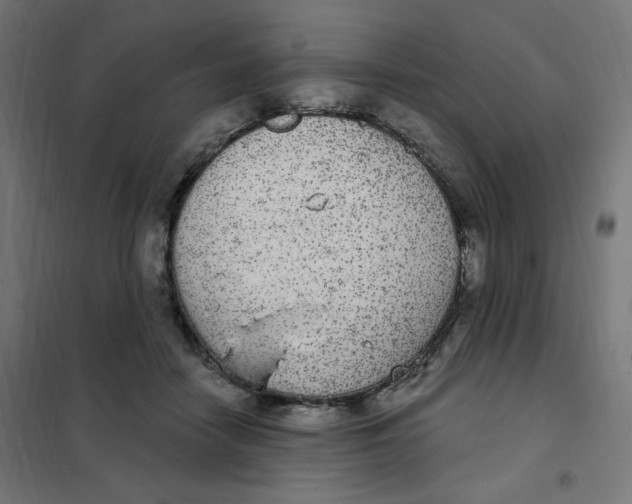 X0000102040458200808081839