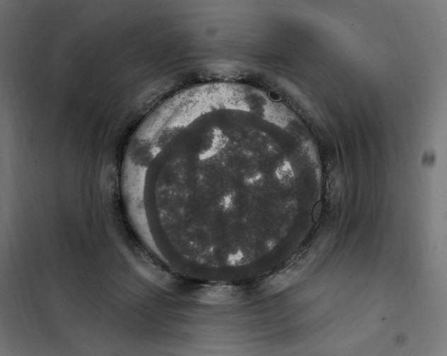 X0000102040459200808081839