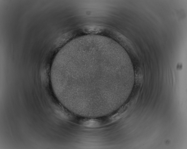 X0000102040460200808081839