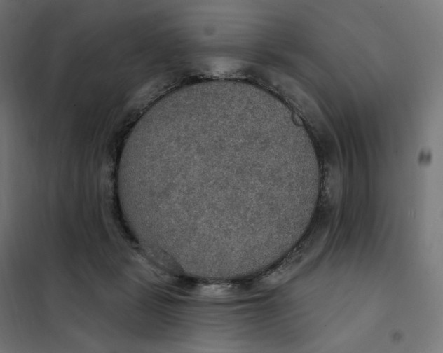 X0000102040461200808081839