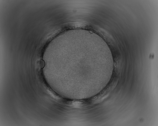 X0000102040462200808081839