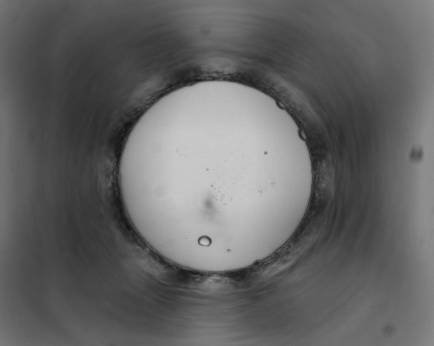 X0000102040463200808081839