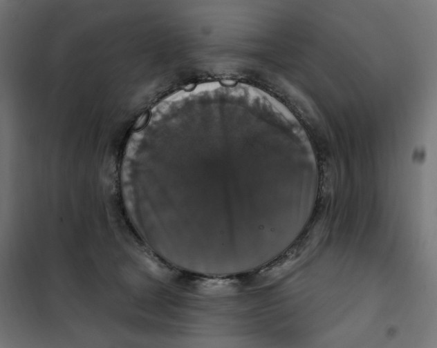 X0000102040465200808081839