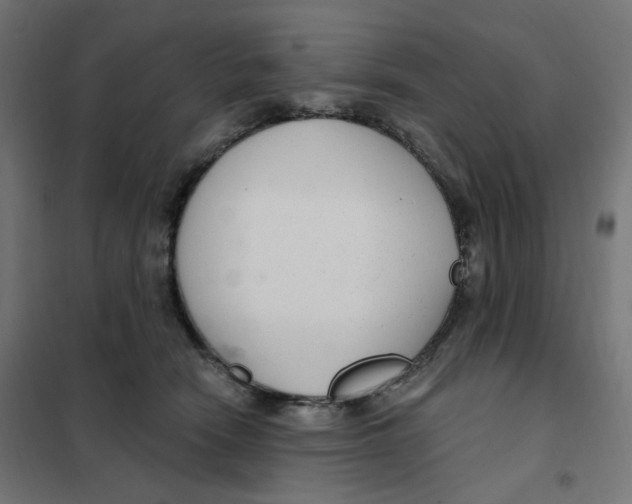 X0000102040466200808081839