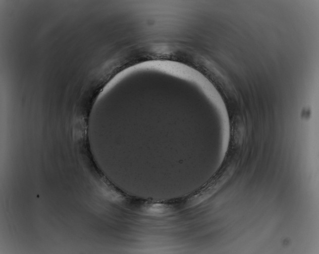 X0000102040467200808081839