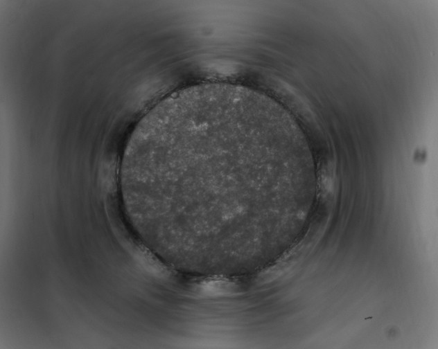 X0000102040468200808081839