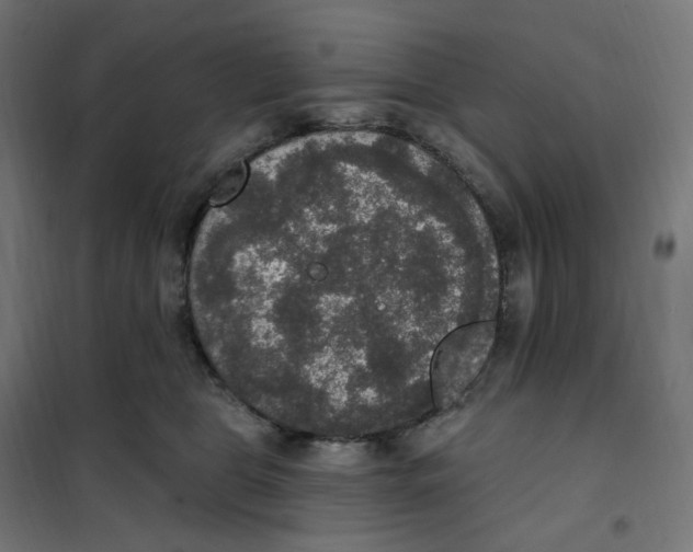 X0000102040469200808081839