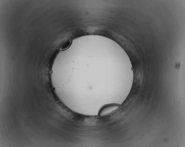 X0000102040470200808081839