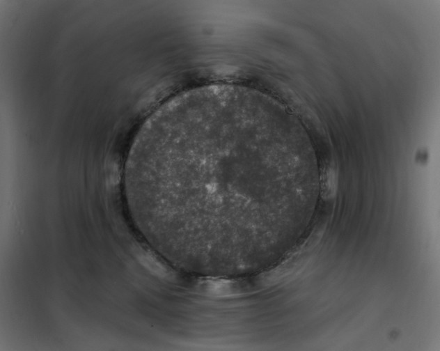 X0000102040472200808081839