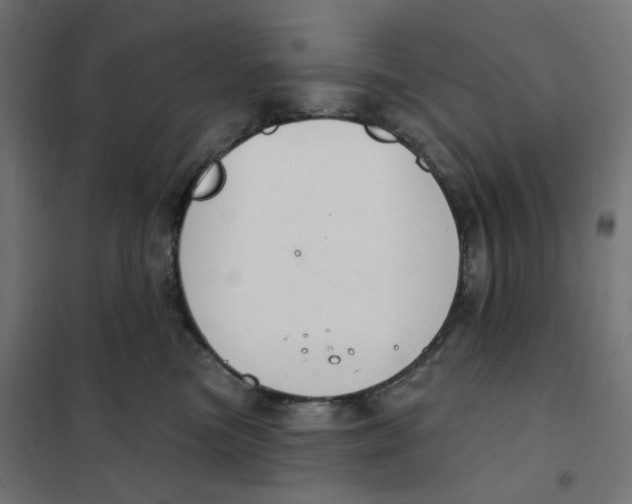 X0000102040473200808081839