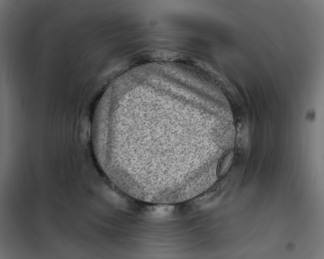 X0000102040474200808081839