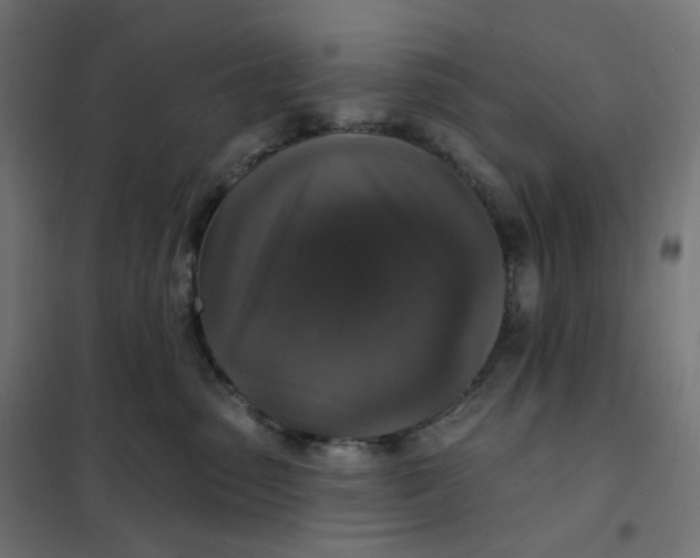 X0000102040475200808081839