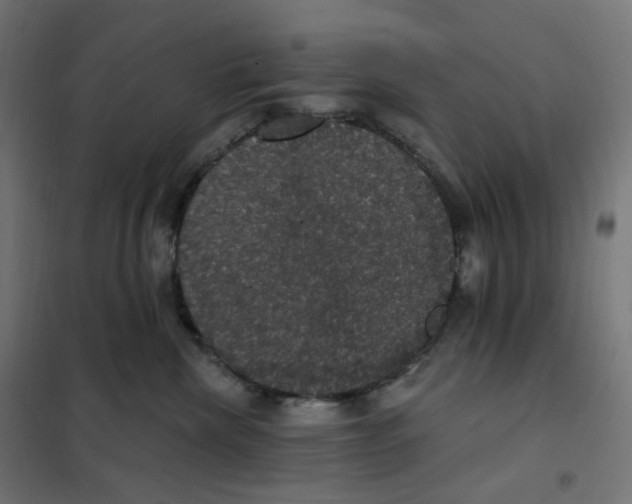 X0000102040476200808081839