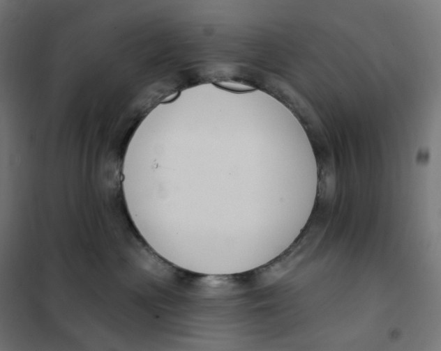 X0000102040477200808081839