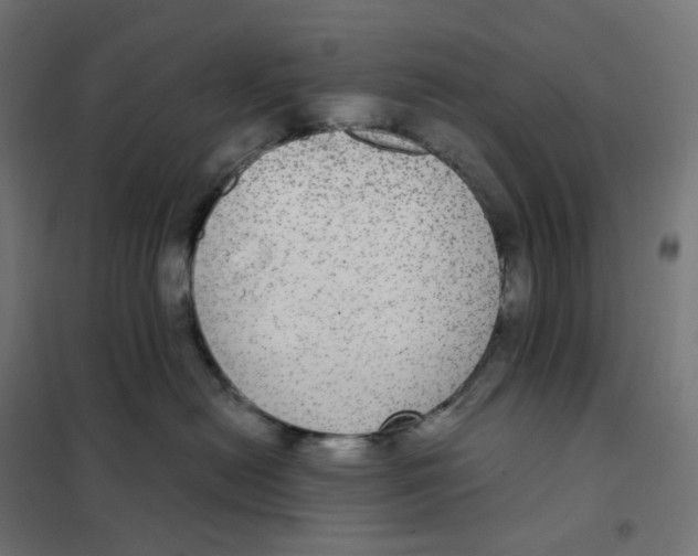 X0000102040478200808081839