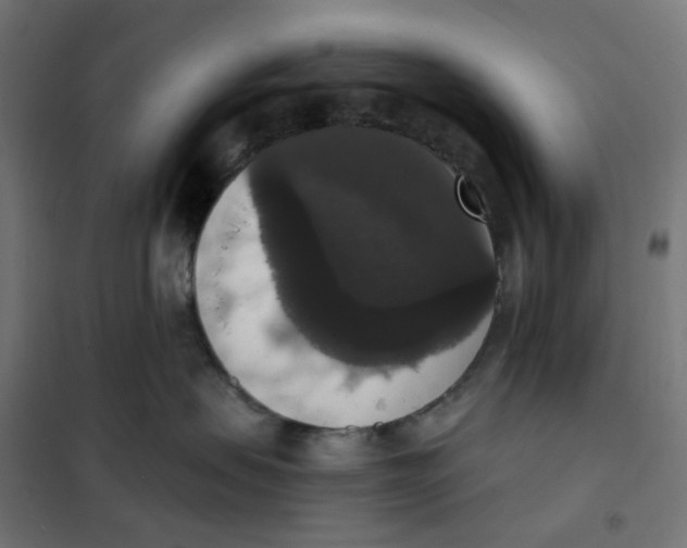 X0000102040479200808081839