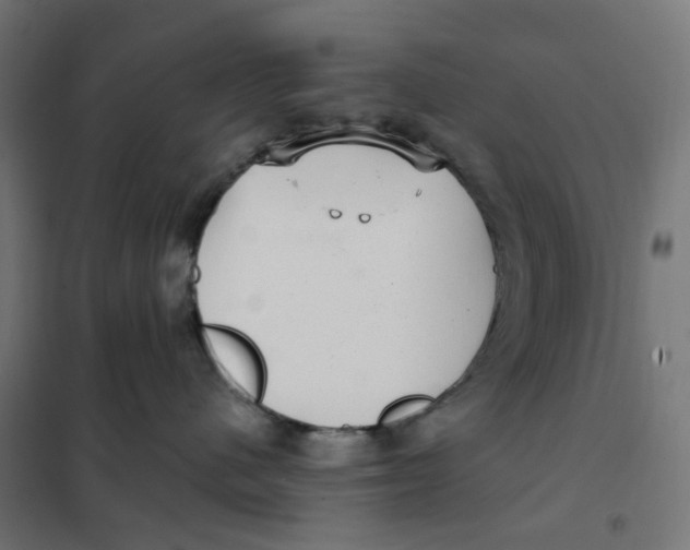 X0000102040480200808081839