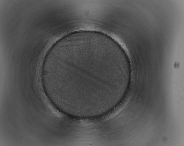 X0000102040481200808081838