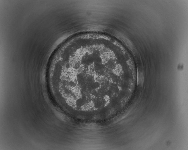 X0000102040483200808081838