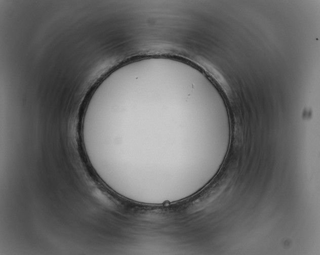 X0000102040485200808081838