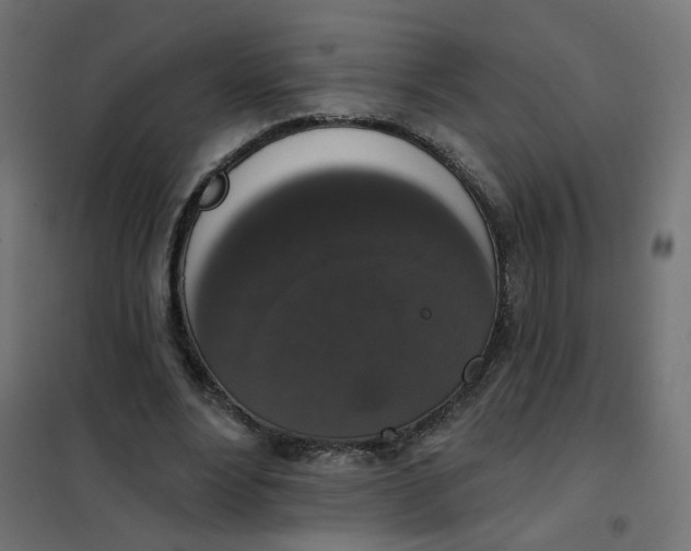 X0000102040488200808081838