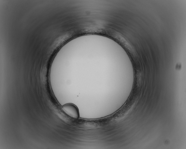 X0000102040490200808081838