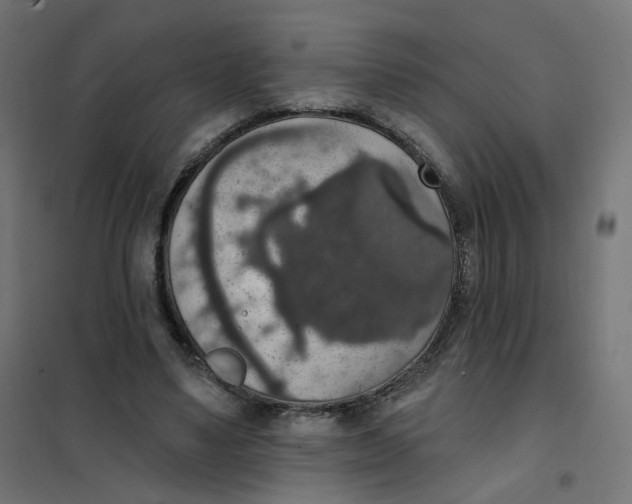 X0000102040491200808081838