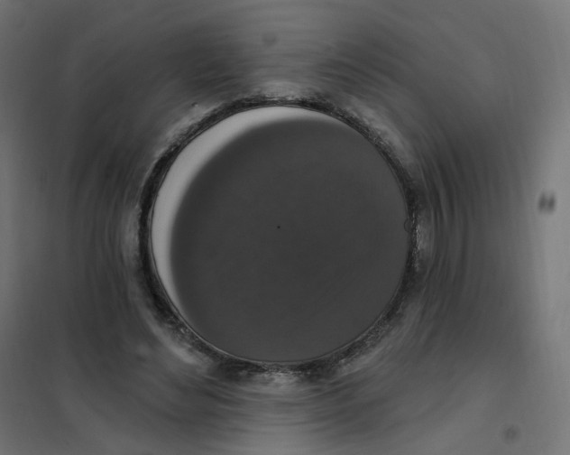 X0000102040492200808081838