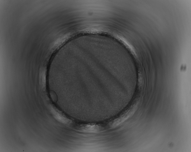 X0000102040493200808081838