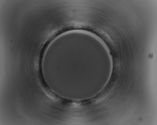 X0000102040496200808081838