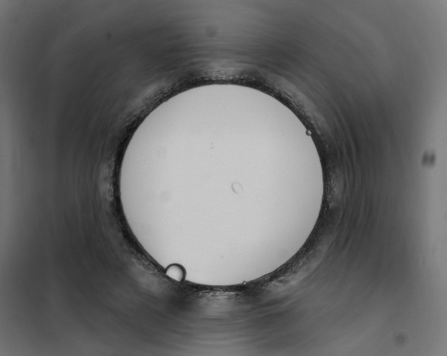 X0000102040497200808081838