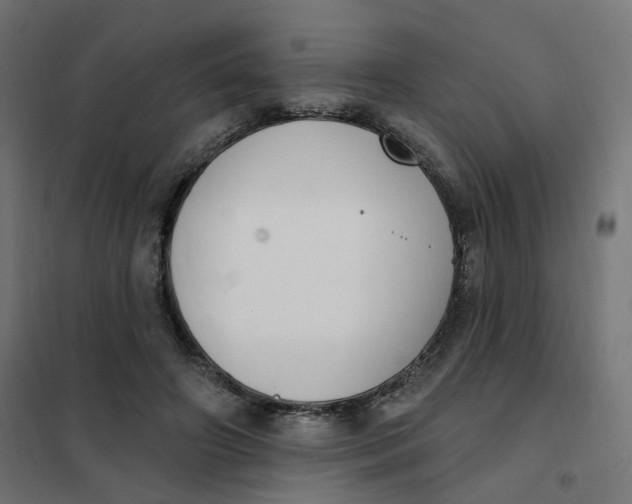 X0000102040498200808081838