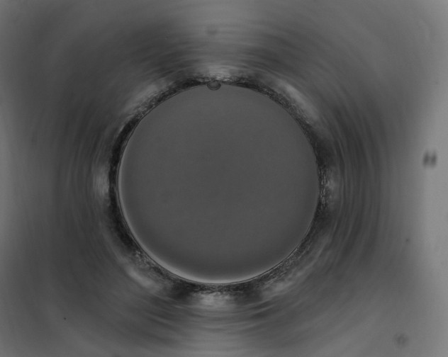 X0000102040500200808081838