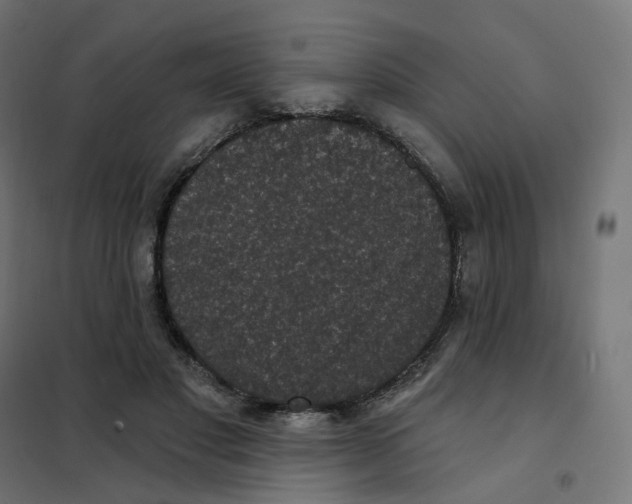 X0000102040501200808081838