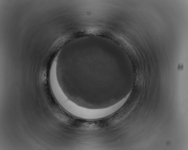 X0000102040502200808081838