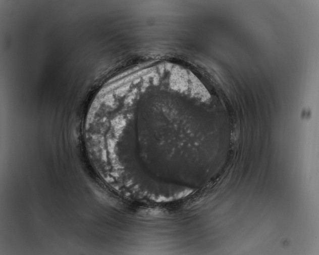 X0000102040503200808081838