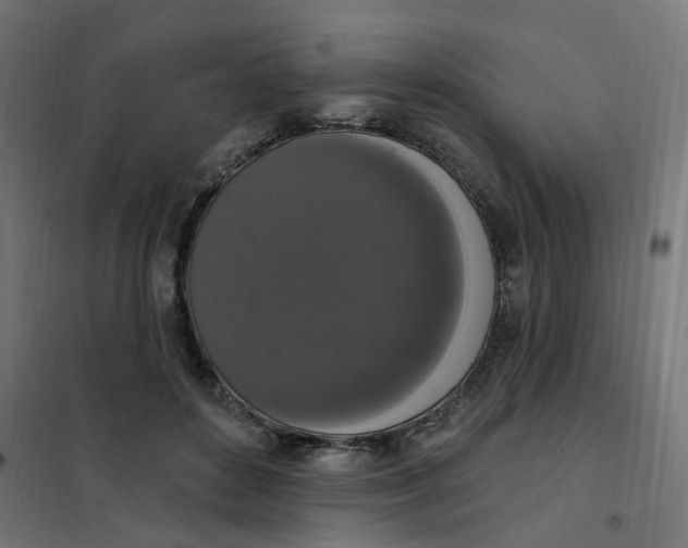 X0000102040504200808081838