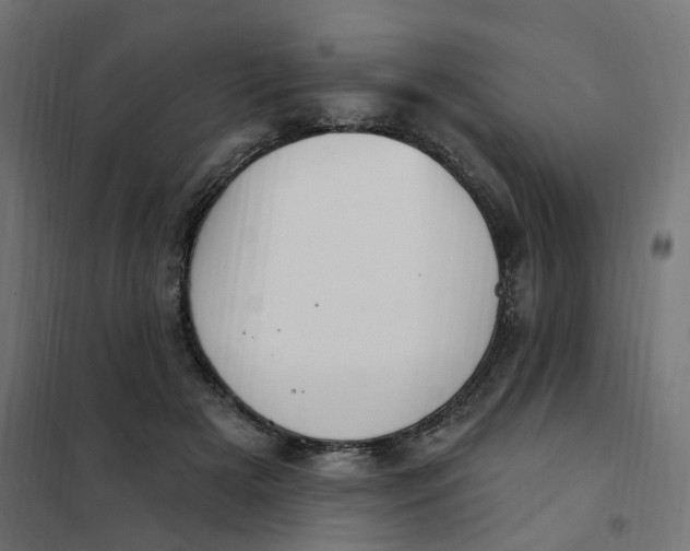 X0000102040505200808081838