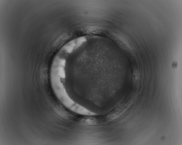 X0000102040506200808081838