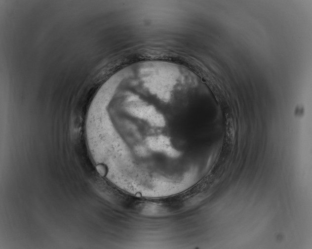 X0000102040507200808081838