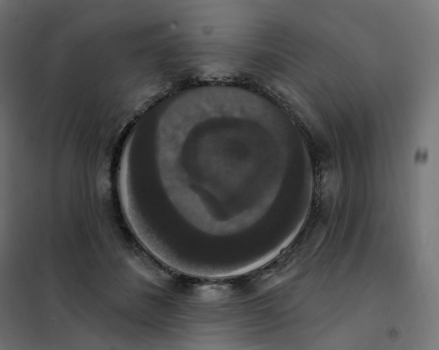 X0000102040508200808081838