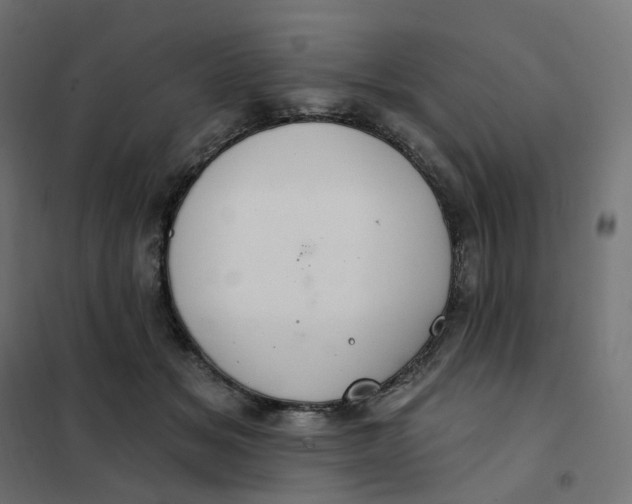 X0000102040509200808081838