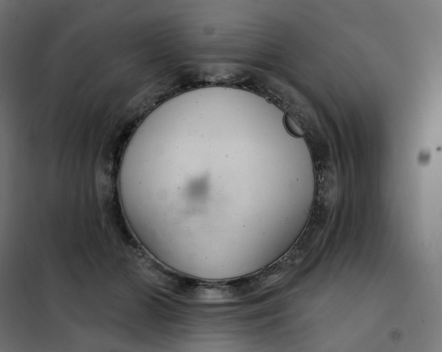 X0000102040510200808081838