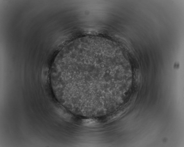 X0000102040511200808081838