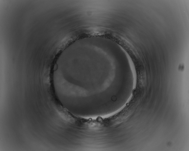 X0000102040512200808081838