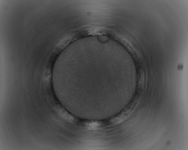 X0000102040513200808081838