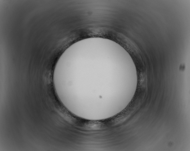 X0000102040514200808081838