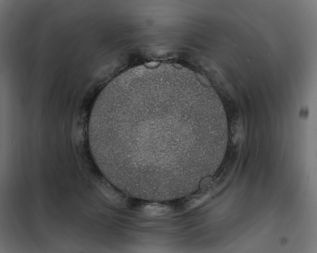 X0000102040515200808081838