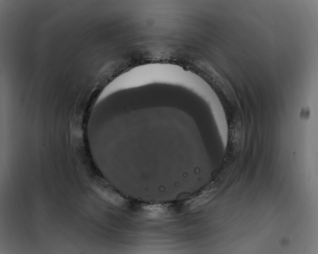 X0000102040516200808081838