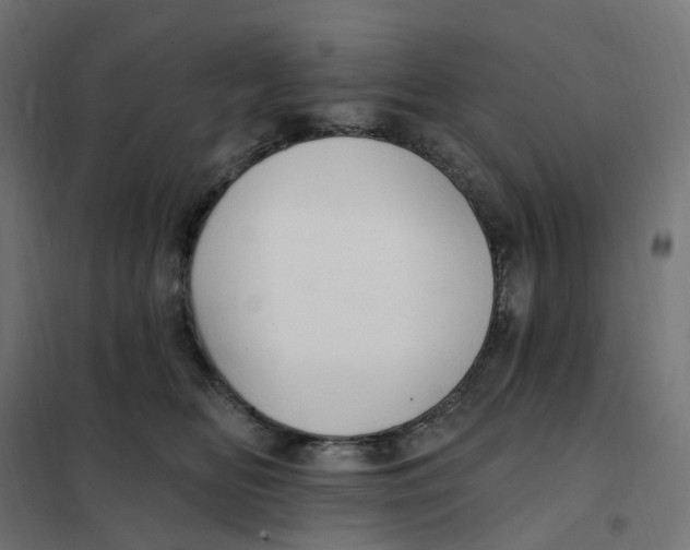 X0000102040518200808081838